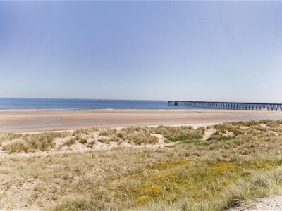 Picture 21